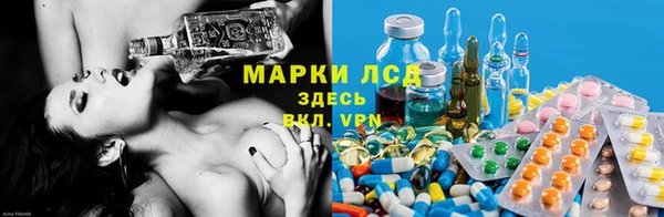 герыч Магас