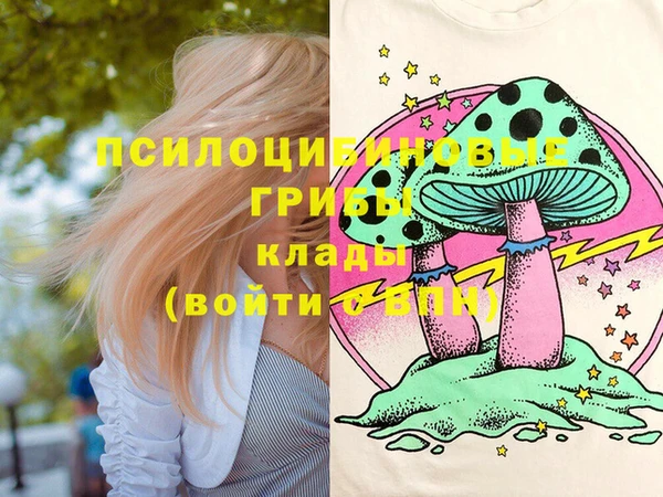 герыч Магас