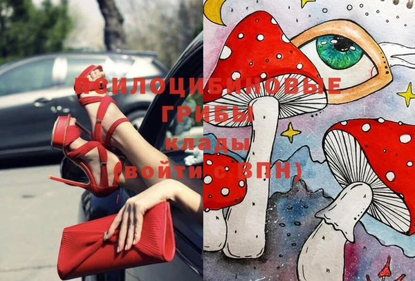 герыч Магас