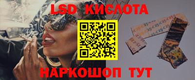 гидра Краснодар