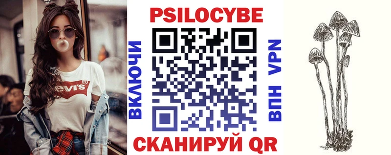 OMG tor  Южноуральск  Псилоцибиновые грибы Psilocybe 
